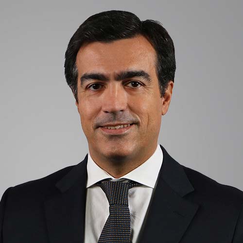 Marcos Milhazes picture